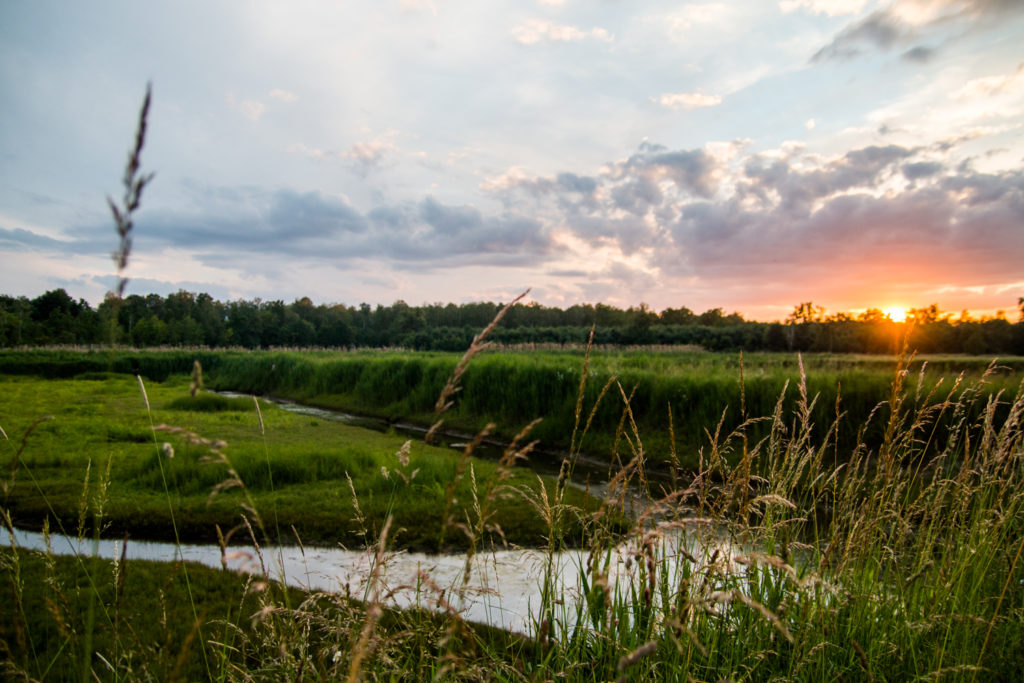 Siedlisko Basiówka Buda Stalowska