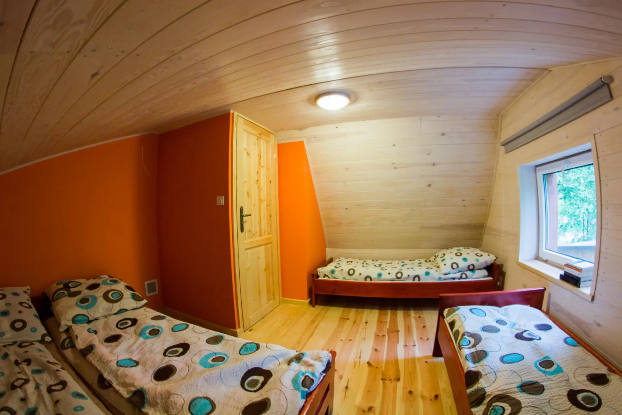 Siedlisko Basiówka - domek i okolica