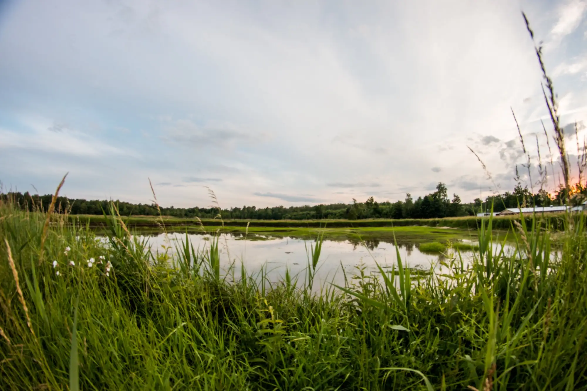 Siedlisko Basiówka - domek i okolica